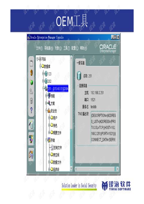 Oracle數(shù)據(jù)庫(kù)管理與開發(fā) 構(gòu)建企業(yè)數(shù)據(jù)核心的基石