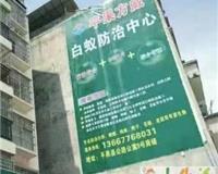 廣西其他生活服務